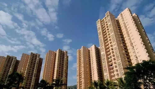 最全的軍隊(duì)統(tǒng)建住房信息與租賃指南 非居住房地產(chǎn)租賃詳解